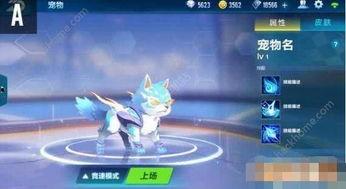 飞车最新宠物爆料,神秘宠物助力玩家畅游虚拟世界