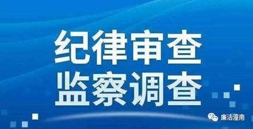 重庆高中爆料新闻报道最新,揭秘校园内幕，师生生活大揭秘