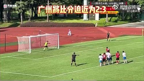 选手爆料假球视频大全最新,选手爆料假球视频大全深度解析