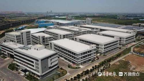 玉林二环爆料事件视频最新,真相与争议交织的街头冲突