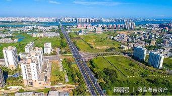 海口最新爆料,揭秘城市新动向与热点事件